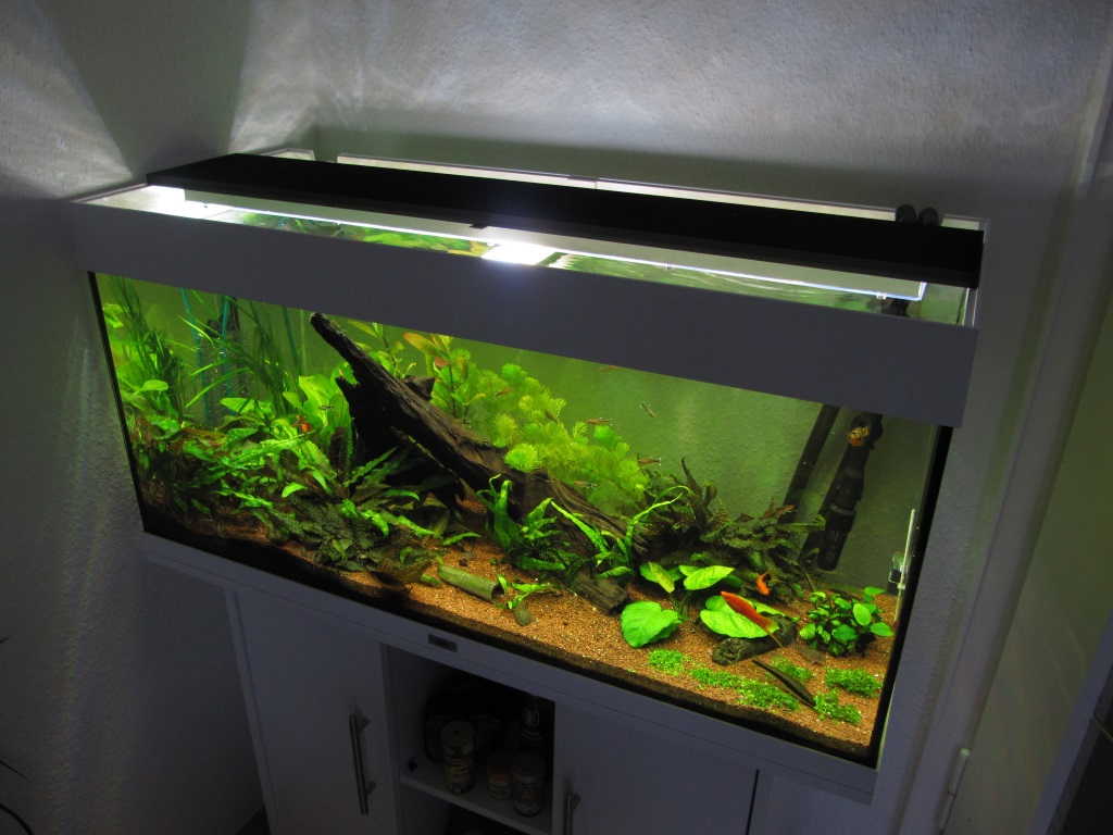 Beleuchtung Im Aquarium Wie Lange schullebernd.de
